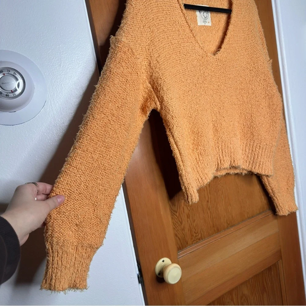 free people we the free theo fuzzy v-neck sweater
